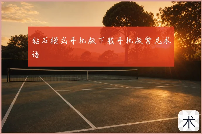 钻石模式手机版下载手机版常见术语
